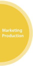 Marketing Production